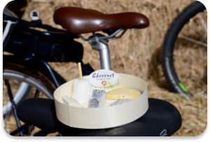 img fromage